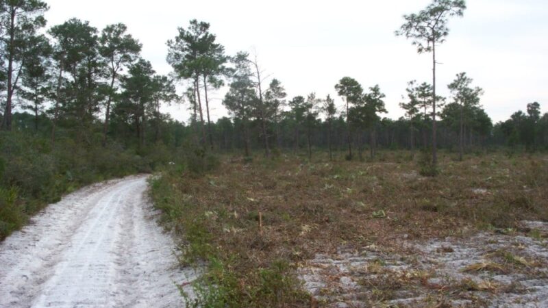 Chuluota Wilderness Area - Chuluota, FL