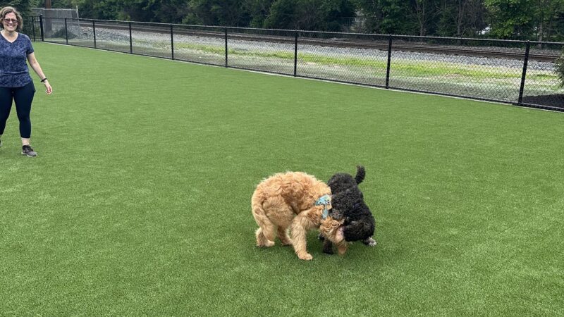 Brave Like Brayden Dog Park - Cincinnati, OH