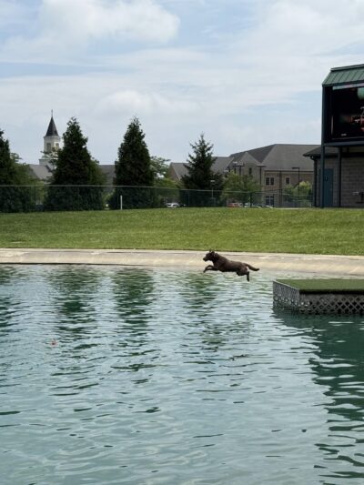 RJ Wags Park - Cincinnati, OH