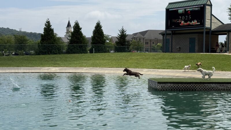 RJ Wags Park - Cincinnati, OH