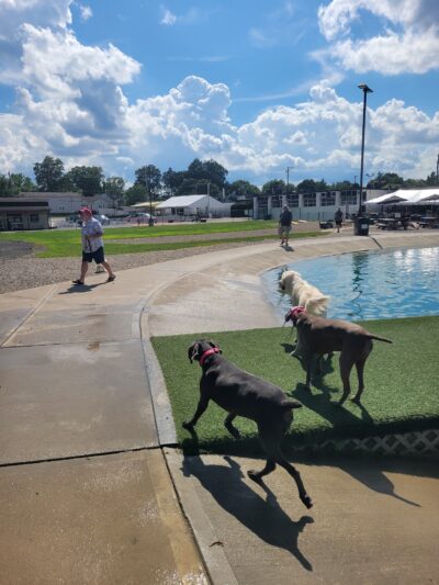 RJ Wags Park - Cincinnati, OH