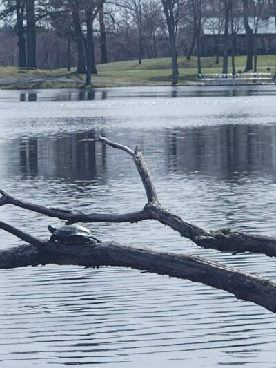 Circleville Park - Circleville, NY