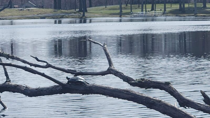 Circleville Park - Circleville, NY