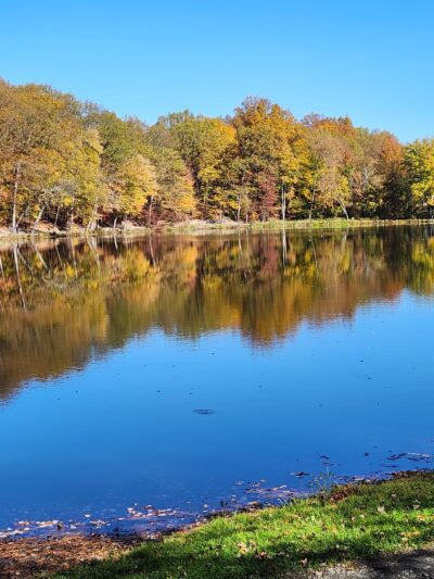 Circleville Park - Circleville, NY