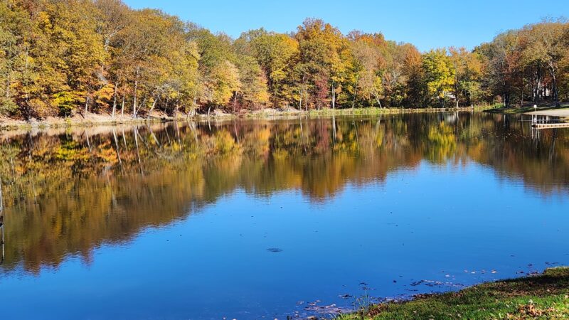 Circleville Park - Circleville, NY