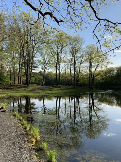 Circleville Park - Circleville, NY