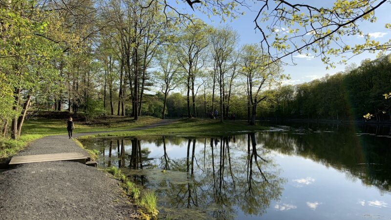 Circleville Park - Circleville, NY
