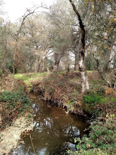 Cherry Creek Manor Park - Citrus Heights, CA