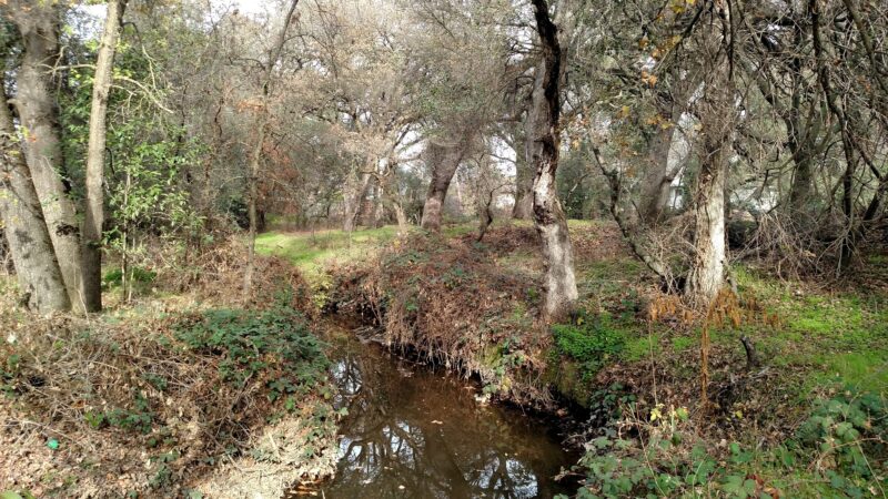 Cherry Creek Manor Park - Citrus Heights, CA