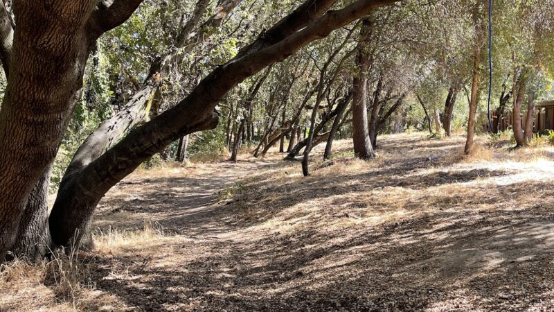 Cherry Creek Manor Park - Citrus Heights, CA