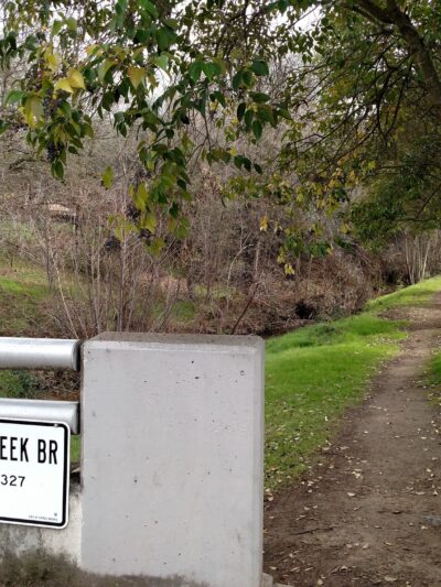 Cherry Creek Manor Park - Citrus Heights, CA