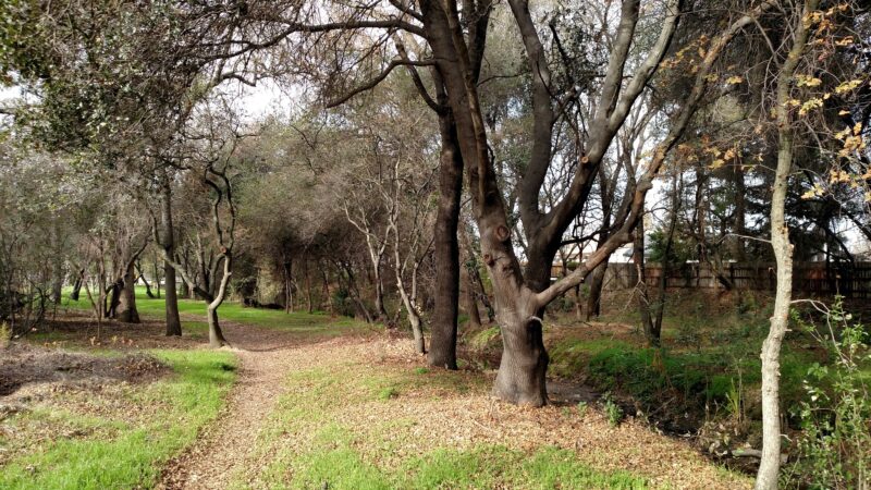 Cherry Creek Manor Park - Citrus Heights, CA