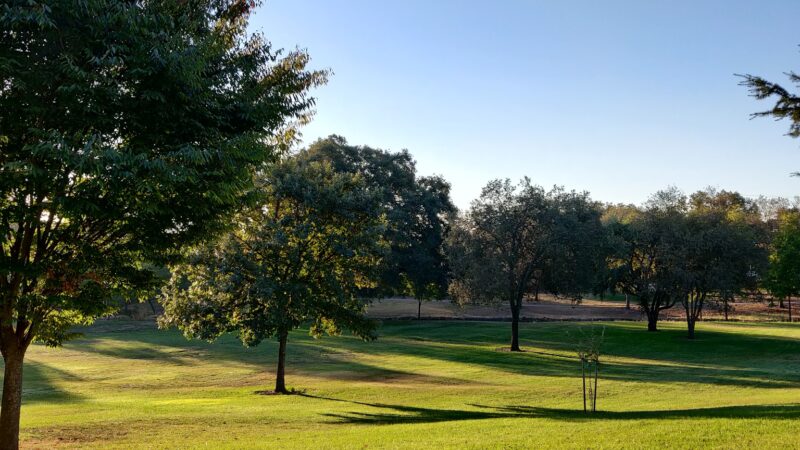 Rusch Park East-End - Citrus Heights, CA