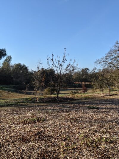 Stock Ranch Nature Preserve - Citrus Heights, CA