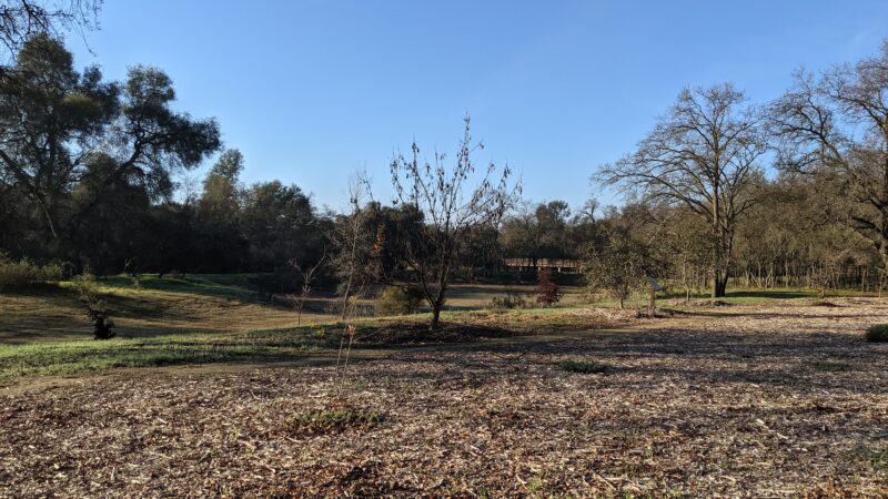 Stock Ranch Nature Preserve - Citrus Heights, CA