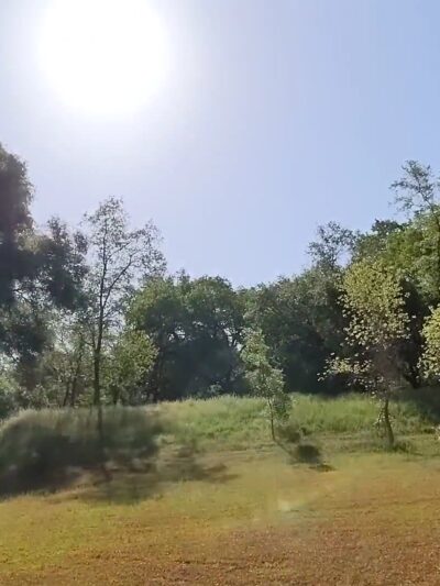 Stock Ranch Nature Preserve - Citrus Heights, CA