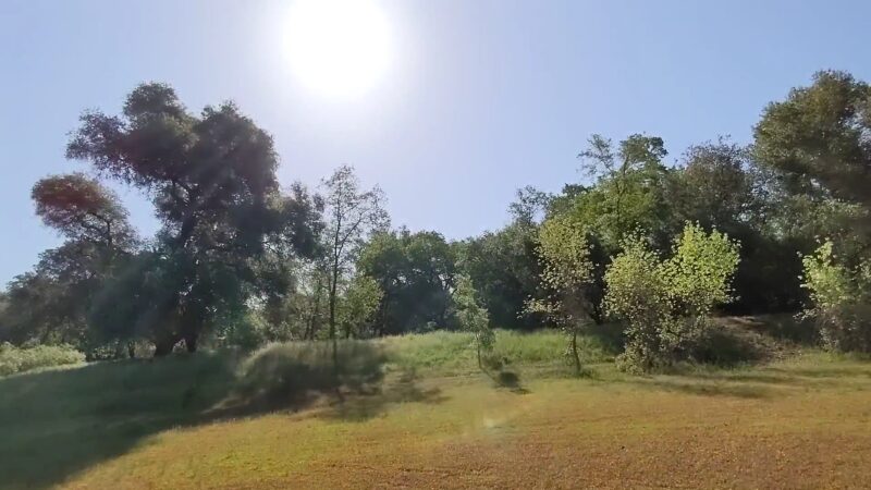 Stock Ranch Nature Preserve - Citrus Heights, CA