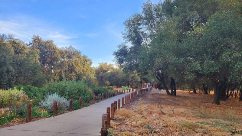 Stock Ranch Nature Preserve - Citrus Heights, CA