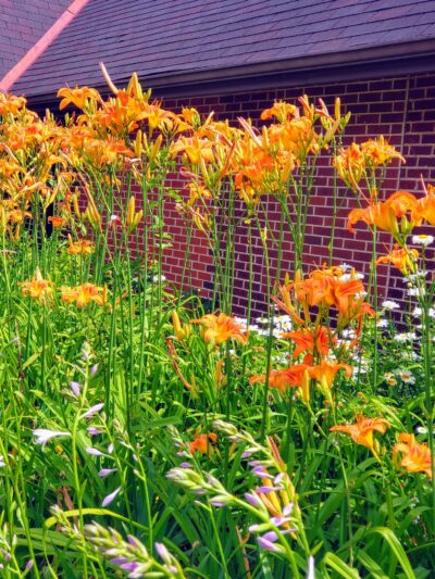 Clairton Park - Clairton, PA