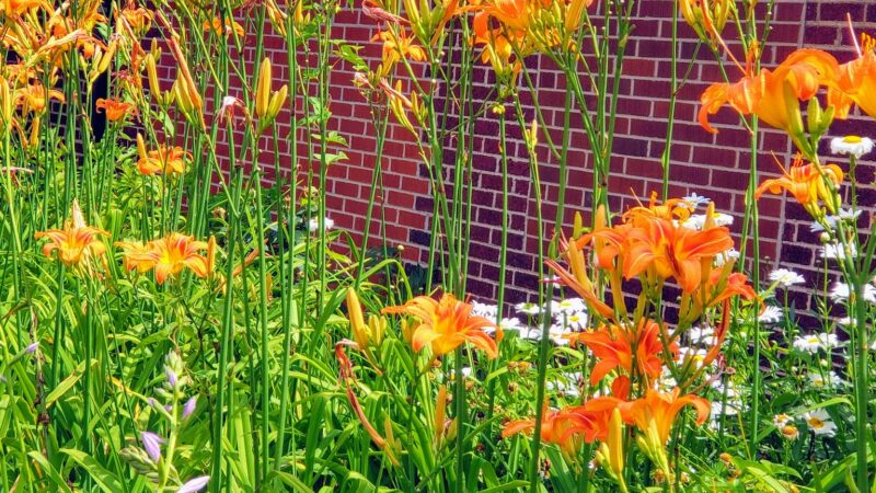 Clairton Park - Clairton, PA