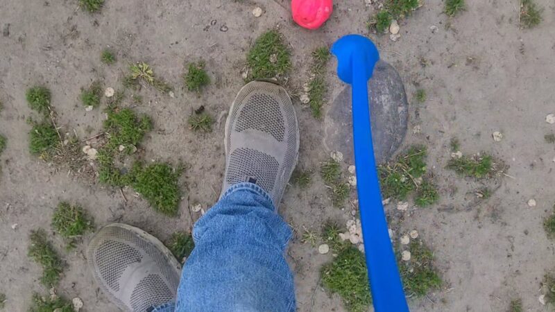 Pippin's Island - Clarkston, WA