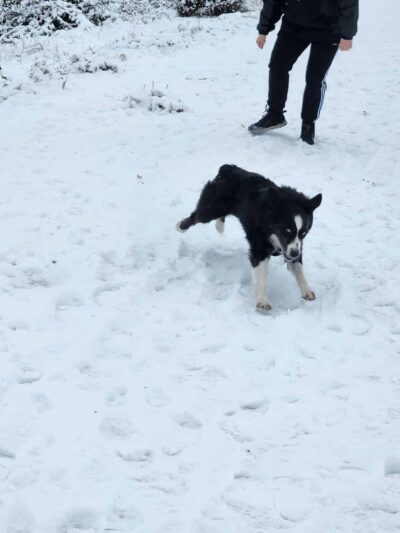 Pippin's Island - Clarkston, WA