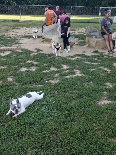 Heritage Dog Park - Clarksville, TN