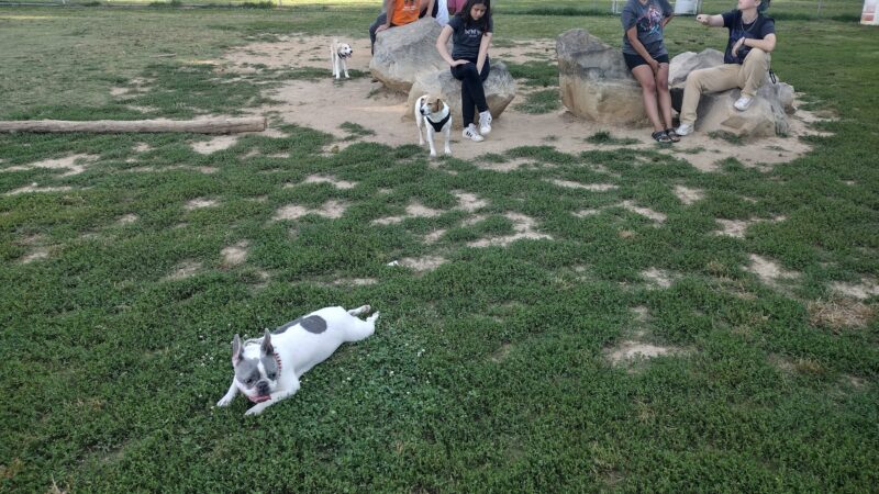 Heritage Dog Park - Clarksville, TN