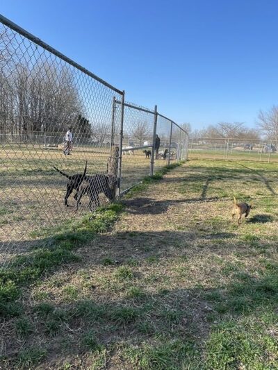 Heritage Dog Park - Clarksville, TN