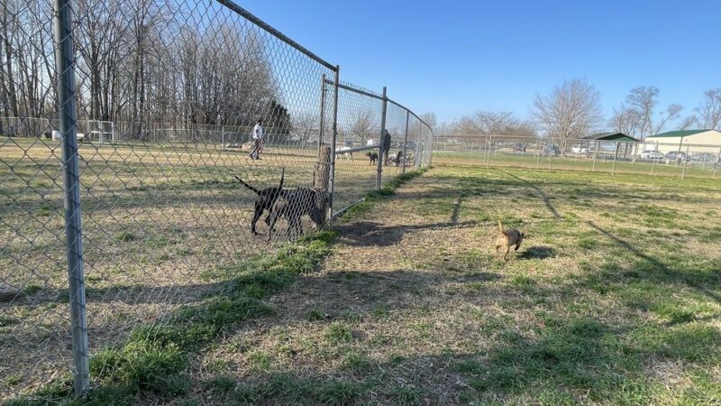 Heritage Dog Park - Clarksville, TN