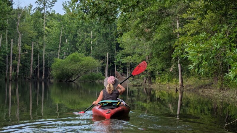 Beaver Pond Creek Wildlife Management Area - Clarksville, VA