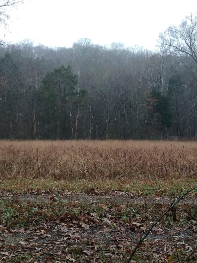 Beaver Pond Creek Wildlife Management Area - Clarksville, VA