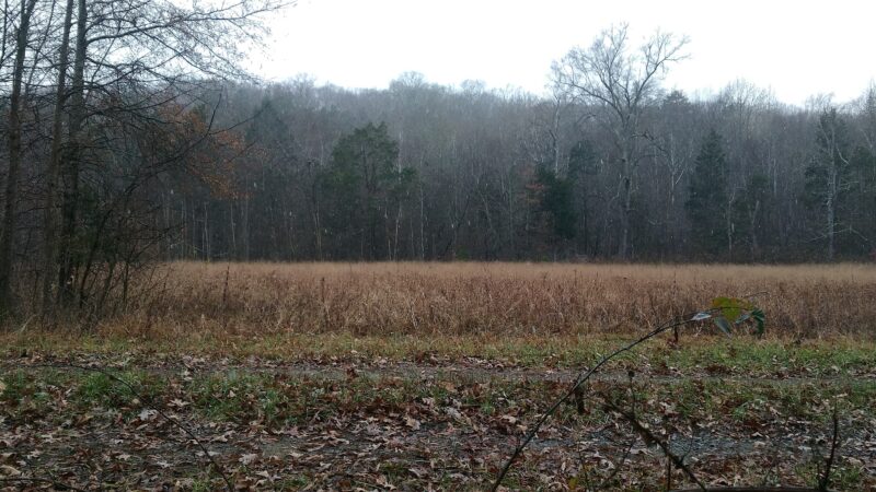 Beaver Pond Creek Wildlife Management Area - Clarksville, VA