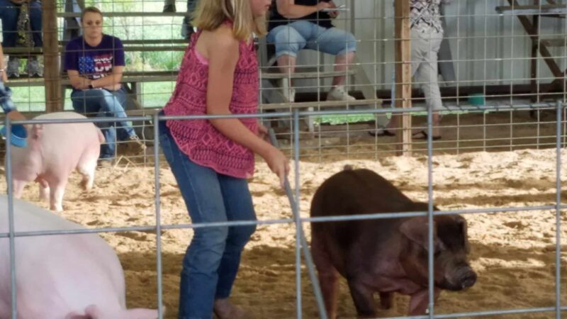 Harrison Township Park - Clay City, IN