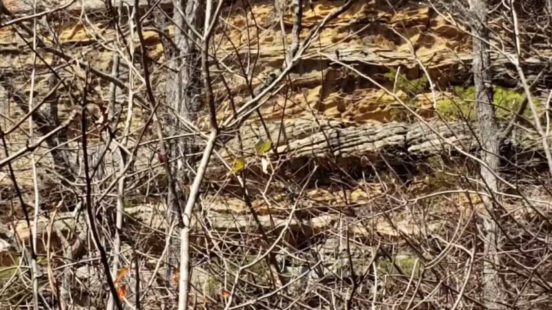 Pilot Knob - Clay City, KY