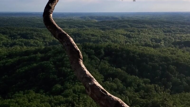 Pilot Knob - Clay City, KY