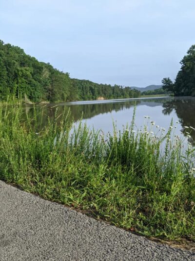 Red Dog Ridge Campground - Clay City, KY