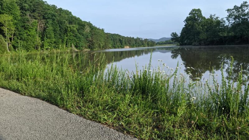 Red Dog Ridge Campground - Clay City, KY