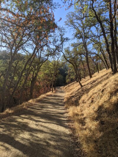 Diablo State Park - Clayton, CA