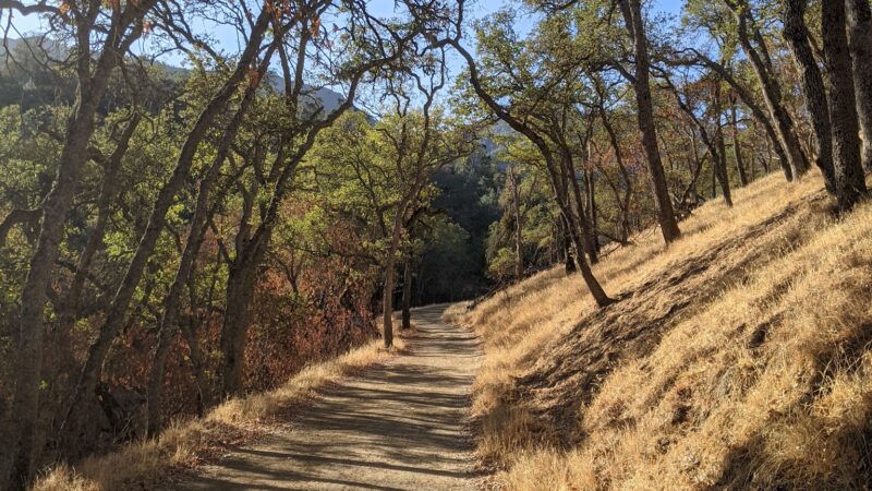 Diablo State Park - Clayton, CA