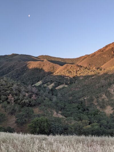 Diablo State Park - Clayton, CA