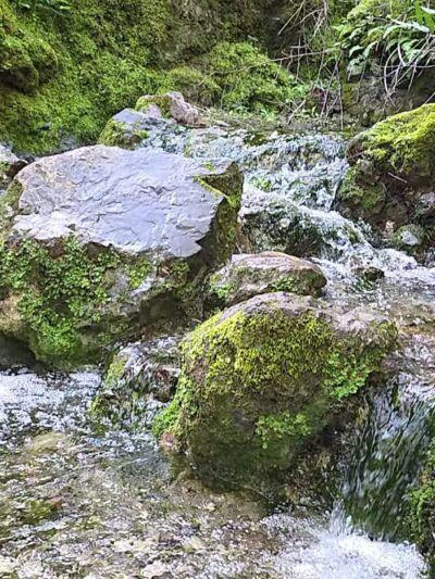 Diablo State Park - Clayton, CA