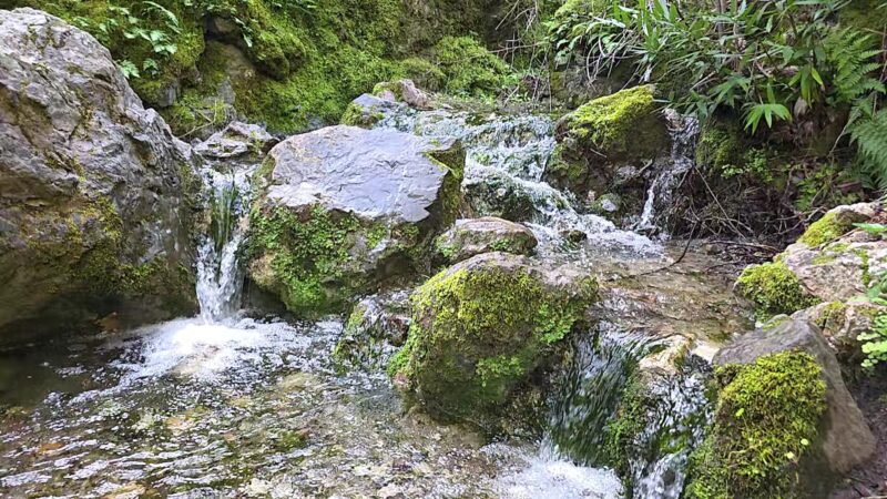 Diablo State Park - Clayton, CA