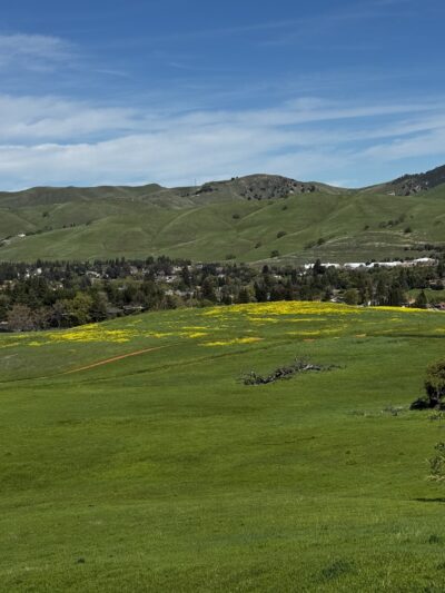 Diablo State Park - Clayton, CA