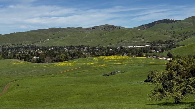 Diablo State Park - Clayton, CA