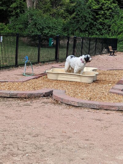 Clayton Dog Park (Membership Only) - Clayton, MO