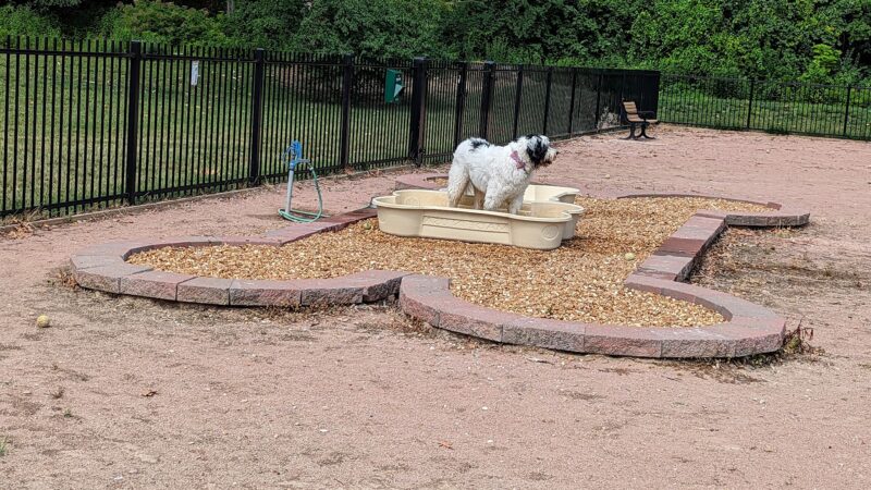 Clayton Dog Park (Membership Only) - Clayton, MO