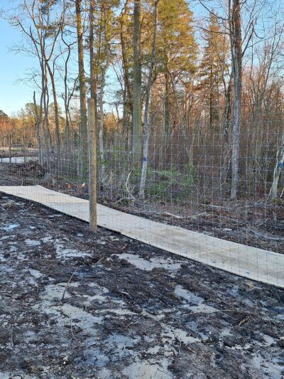 Glassboro Wildlife Management Area - Clayton, NJ