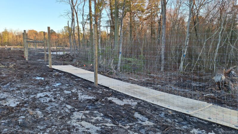 Glassboro Wildlife Management Area - Clayton, NJ