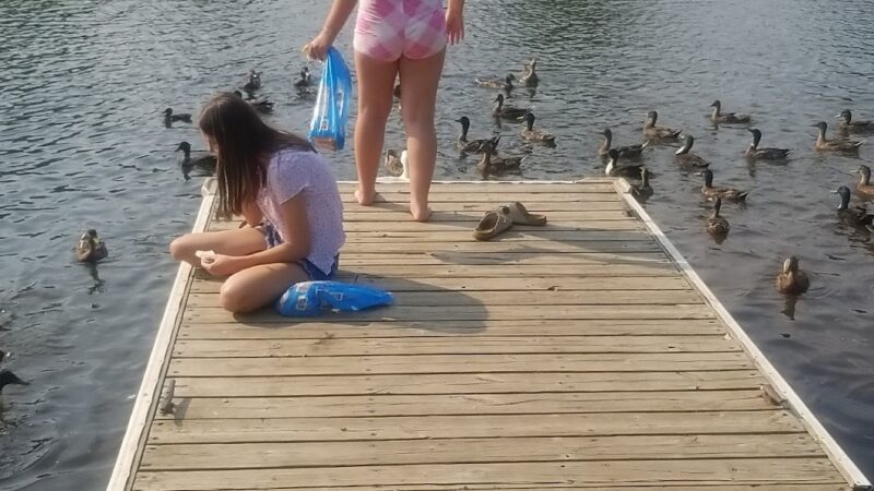 Lower Witmer Park - Clearfield, PA